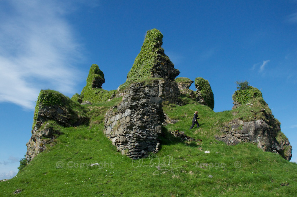Castle Coeffin (5)